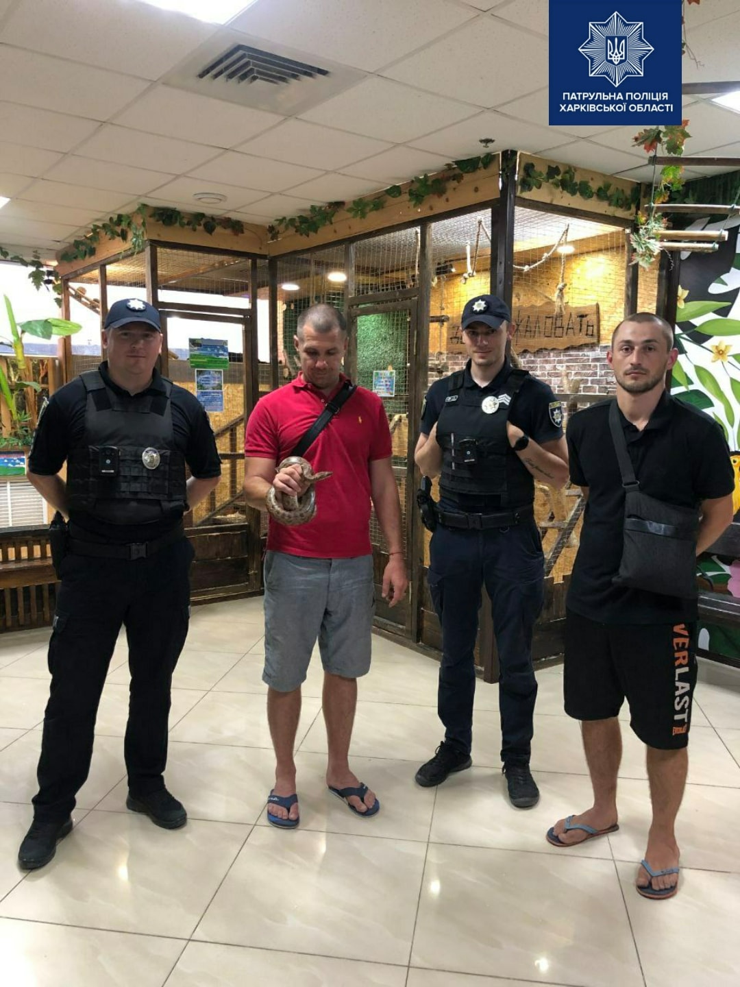 В Харькове женщина нашла питона в квартире под кроватью (фото)