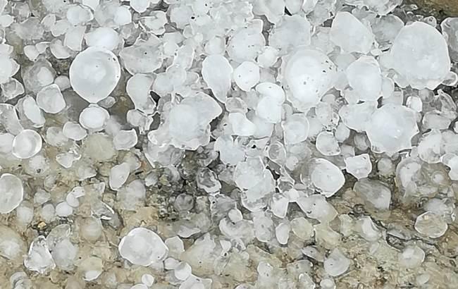 Підсумки дня: 15 серпня