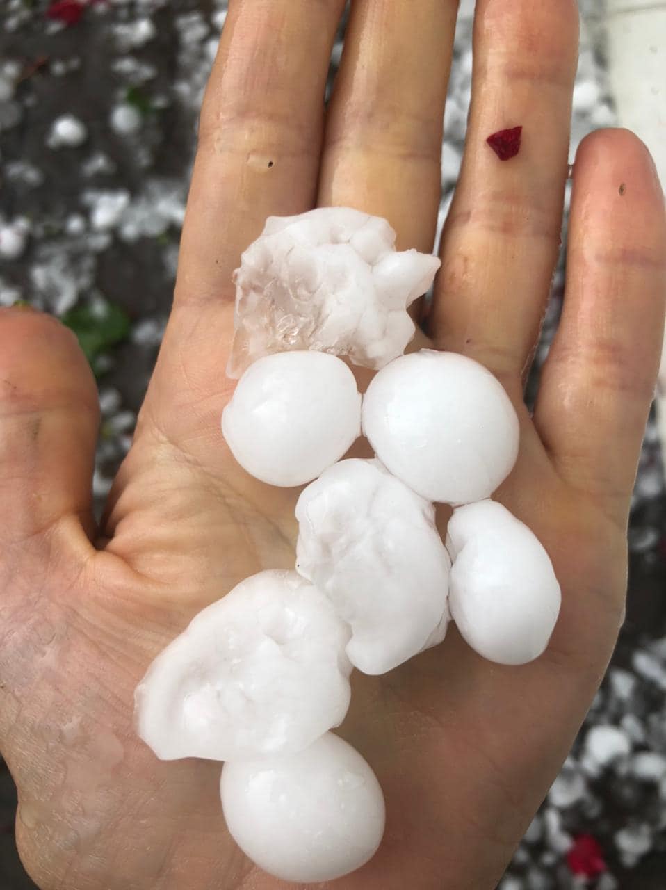 Під Тернополем випав гігантський град розміром з пельмені: "на черзі американські смерчі?"