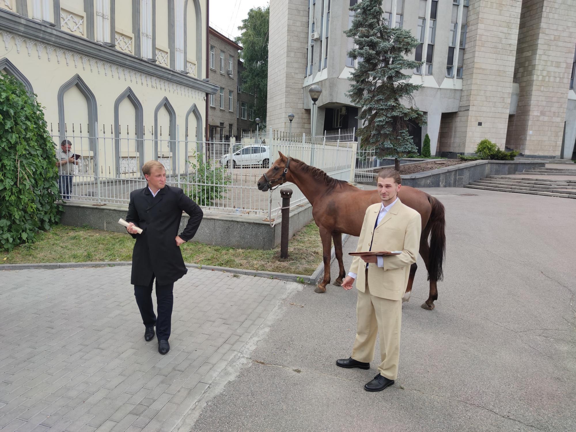 Возле горсовета в Днепре установили &quot;парковку&quot; для лошадей: местные удивились (фото)
