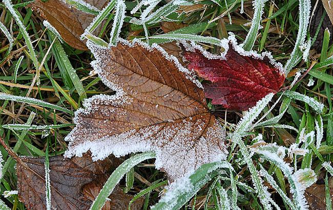 Підсумки дня: 25 вересня