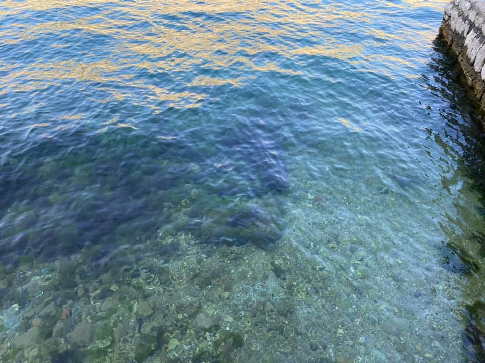 В море мусор, лежаки втридорога: украинец рассказал об "адском" отдыхе в Черногории