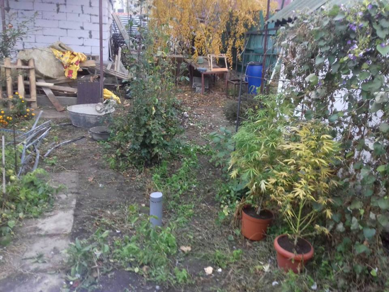 У Миколаєві поліція виявила два факти незаконного зберігання зброї