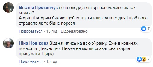 Жорстокі розваги: на Волині натовп ледь не розірвав порося (відео 18+)