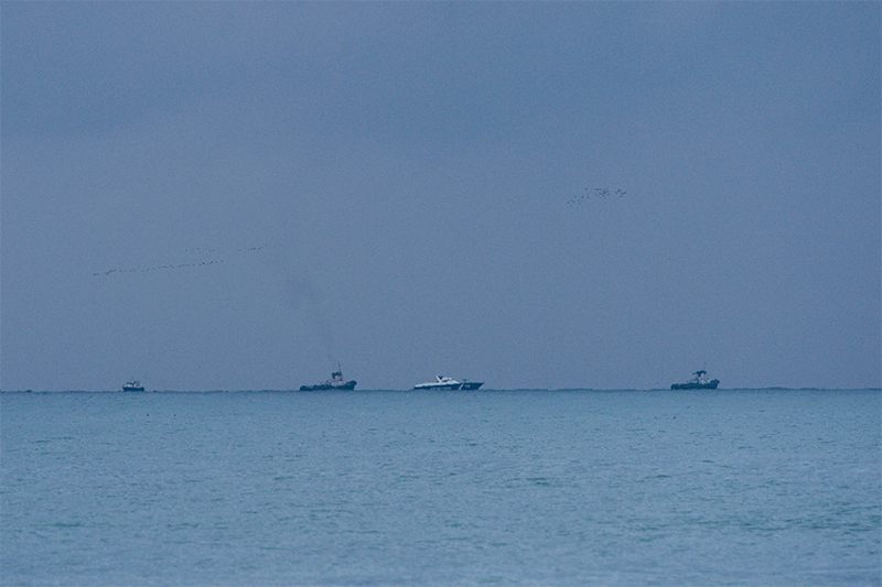 Катастрофа російського літака Ту-154: усі подробиці