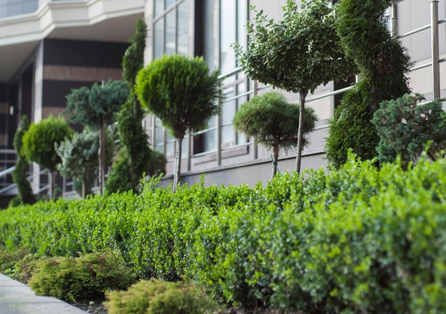 Инвестиции в недвижимость: вкладываем средства с умом