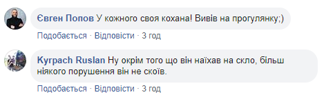 Новий міст у Києві знову &quot;атакували&quot;: входить в моду у дятлів (фото)