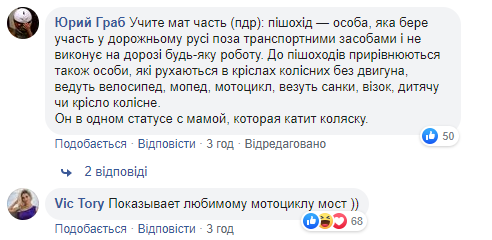 Новий міст у Києві знову &quot;атакували&quot;: входить в моду у дятлів (фото)