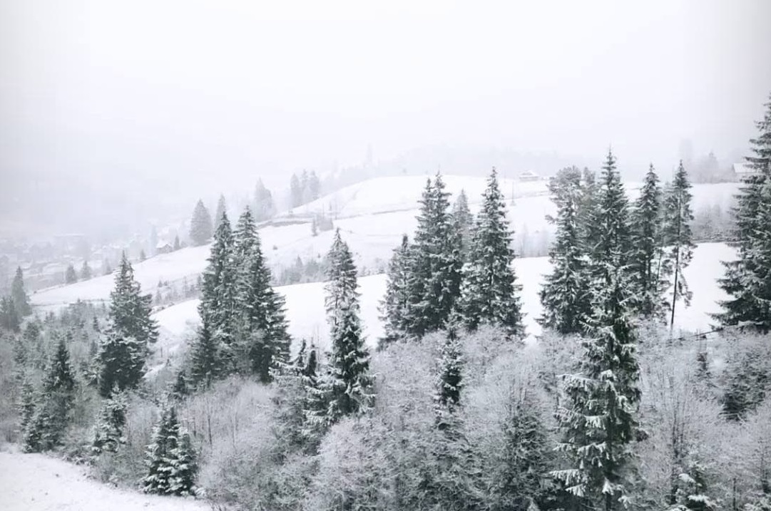 Захід України на Різдво засипало снігом: казкові фото і відео