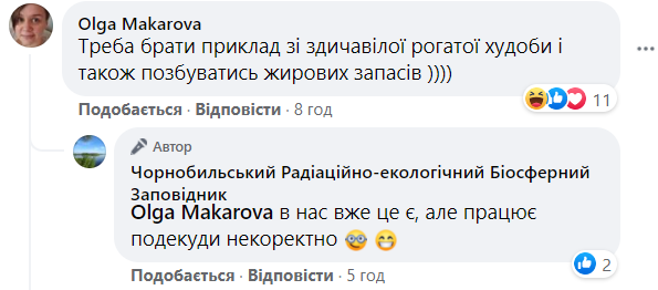 Как животные в Чернобыле пережили зиму: фото из заповедника