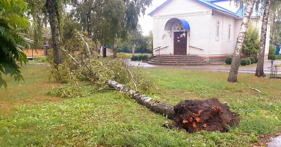 Ураган под Полтавой срывал крыши и деревья, пробивал ветвями авто и погрузил область во тьму
