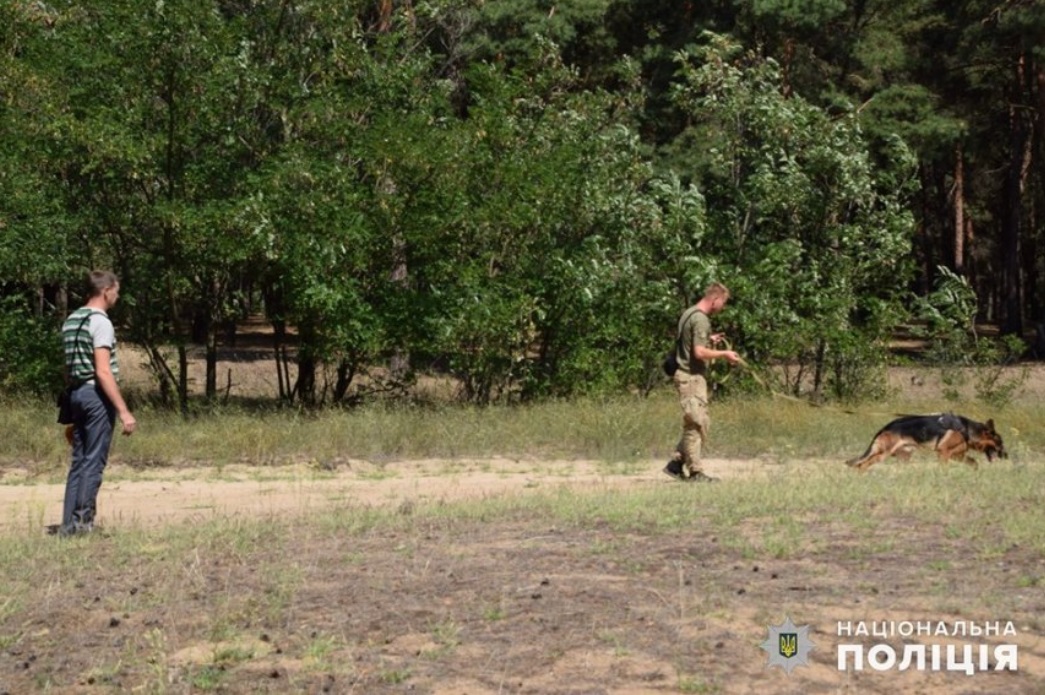 Привела прямо к ребенку: пропавшую в лесу под Николаевом девочку нашла собака