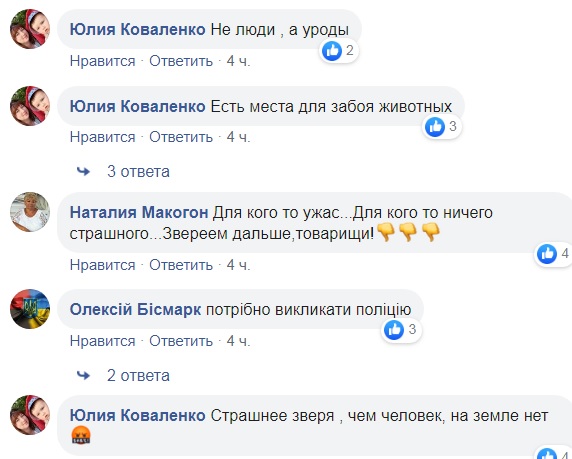 На київському ринку побачили замучену тварину: в мережі переполох