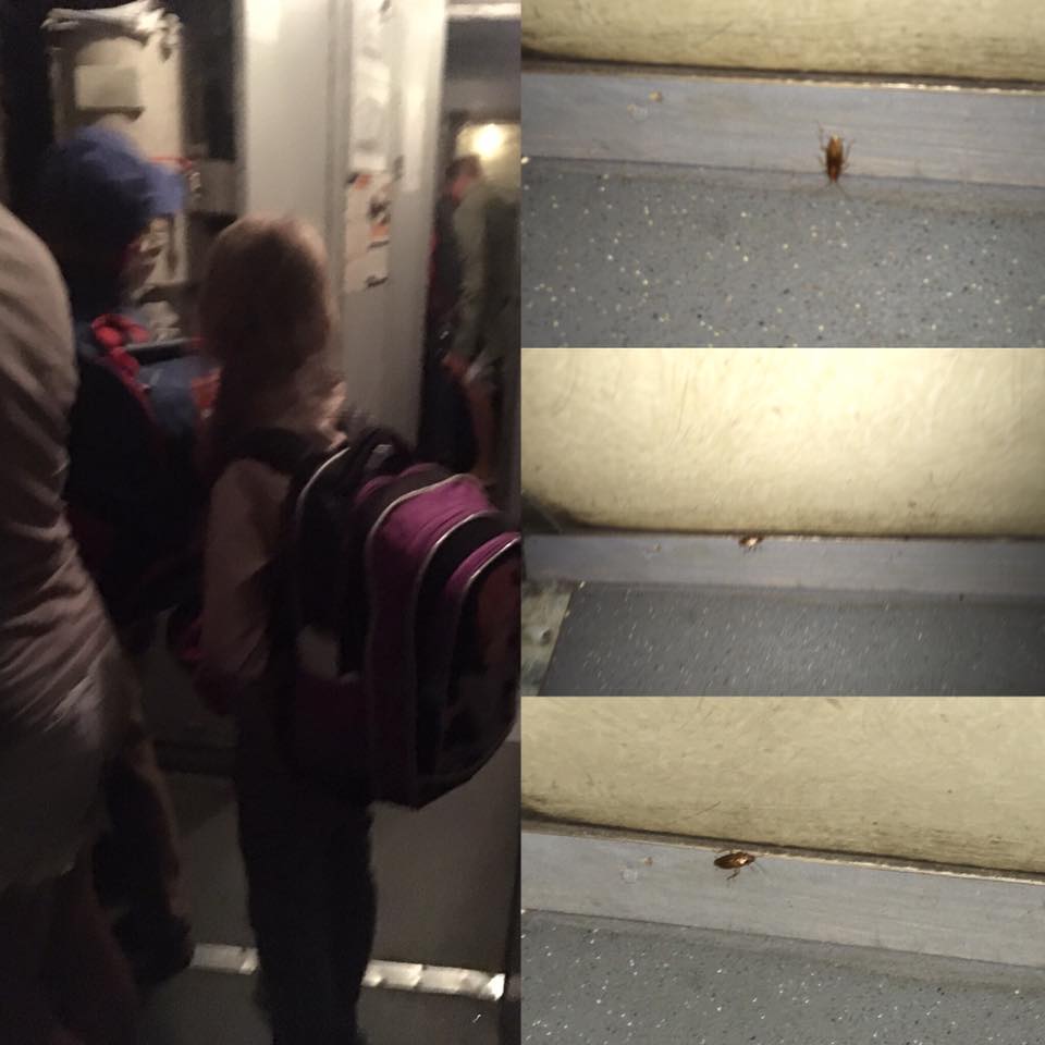 Укрзалізниця знову шокувала пасажирів: краще бачити на власні очі