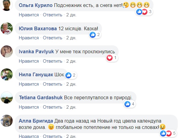 Очередная природная аномалия: в Украине забили тревогу (фото)