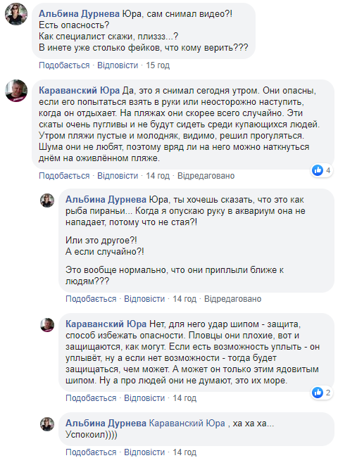 На одеському узбережжі помітили небезпечних морських тварин: у мережі переполох (відео)