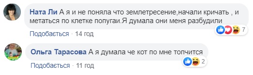 Очевидці розповіли про землетрус в Україні: трясло ліжко і тріщали стіни