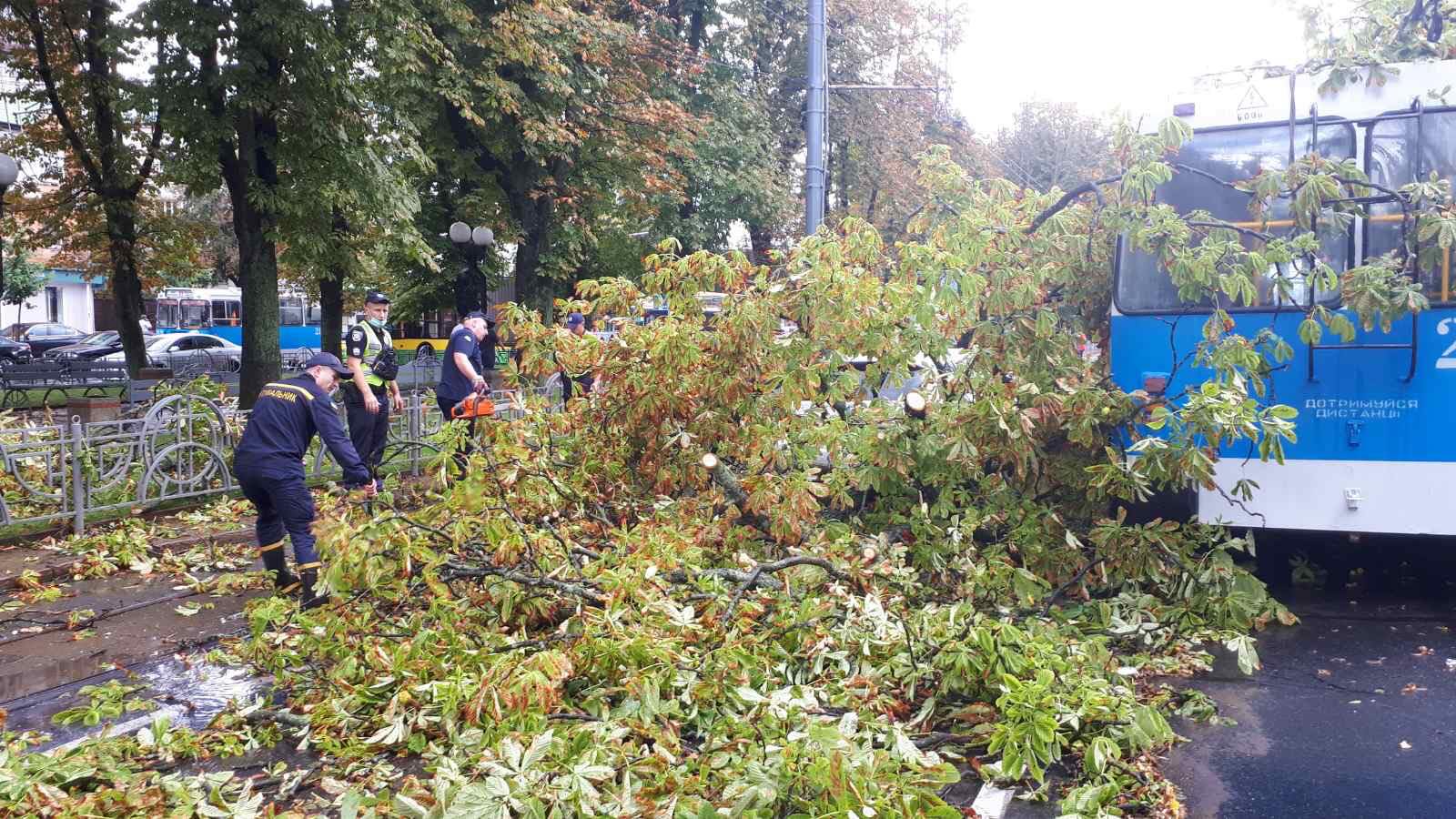 В Виннице дерево упало и накрыло троллейбус с людьми: фото и видео последствий стихии
