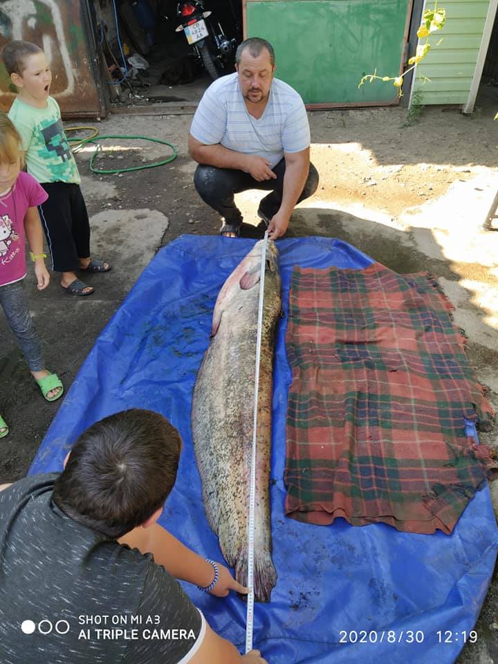 Українець зловив гігантського сома: вражаючі фото