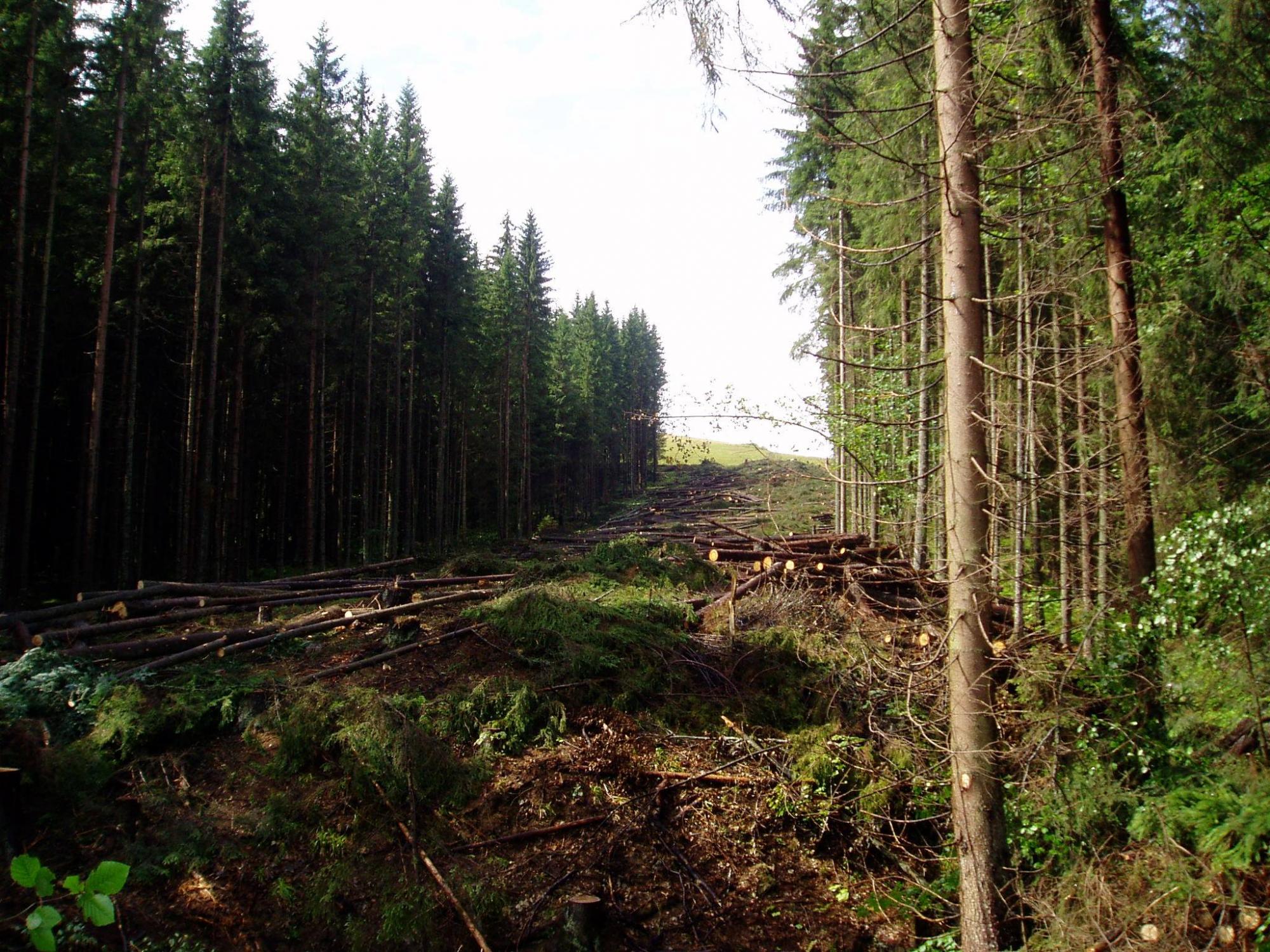 Буковель 20 років тому: на цих рідкісних фото ви не впізнаєте свій улюблений курорт!