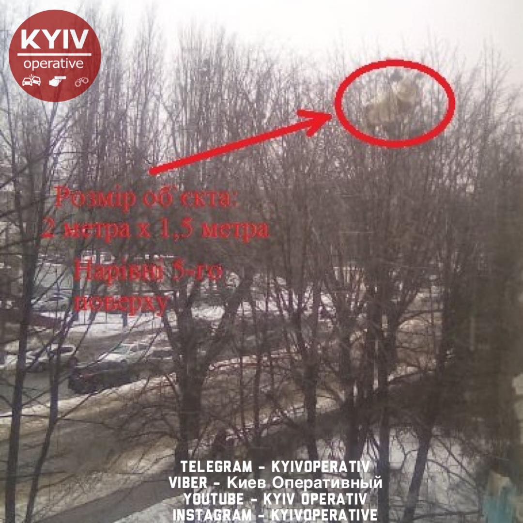 В Киеве выбросили диван из окна: теперь он висит на дереве (фото)