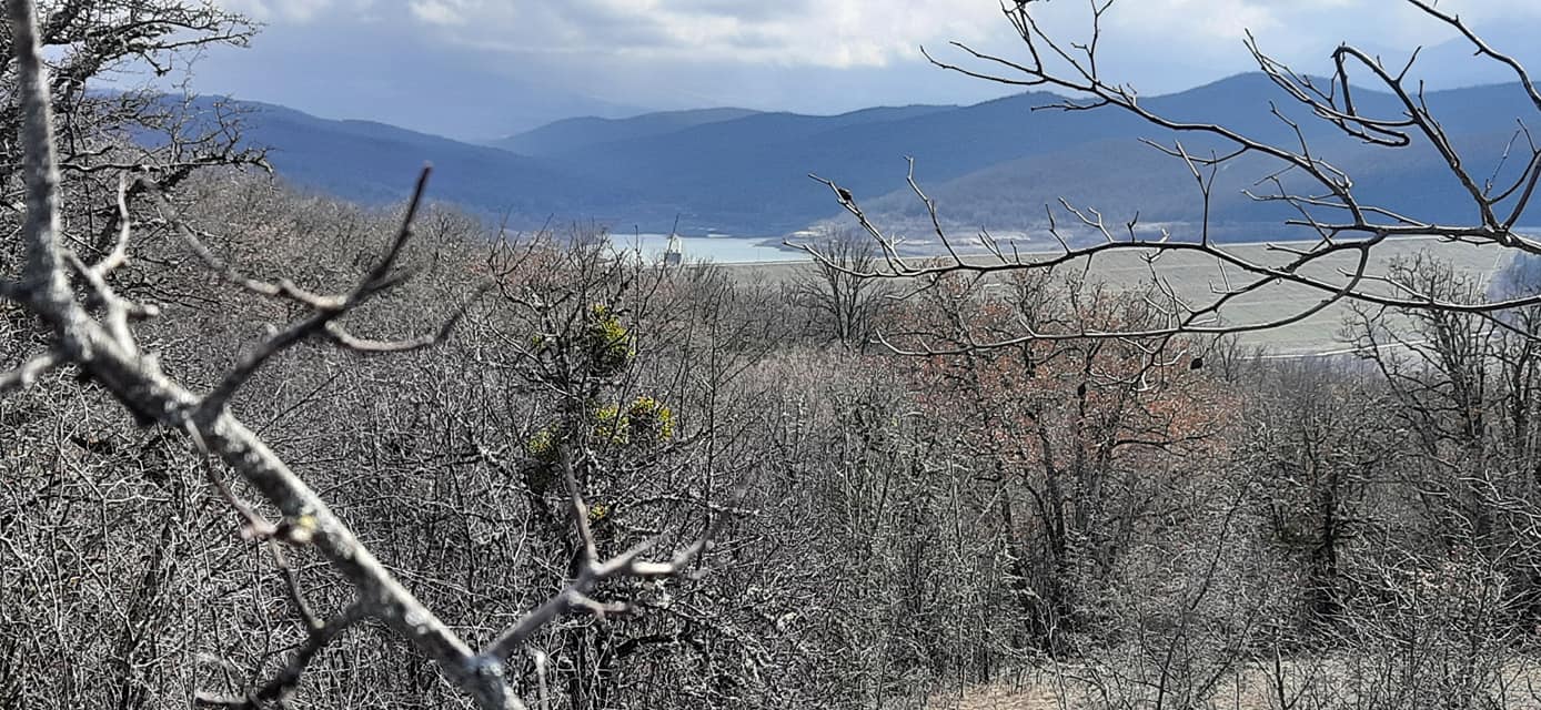 На грани исчезновения еще одно озеро в Крыму: оккупанты приложили руку (фото)