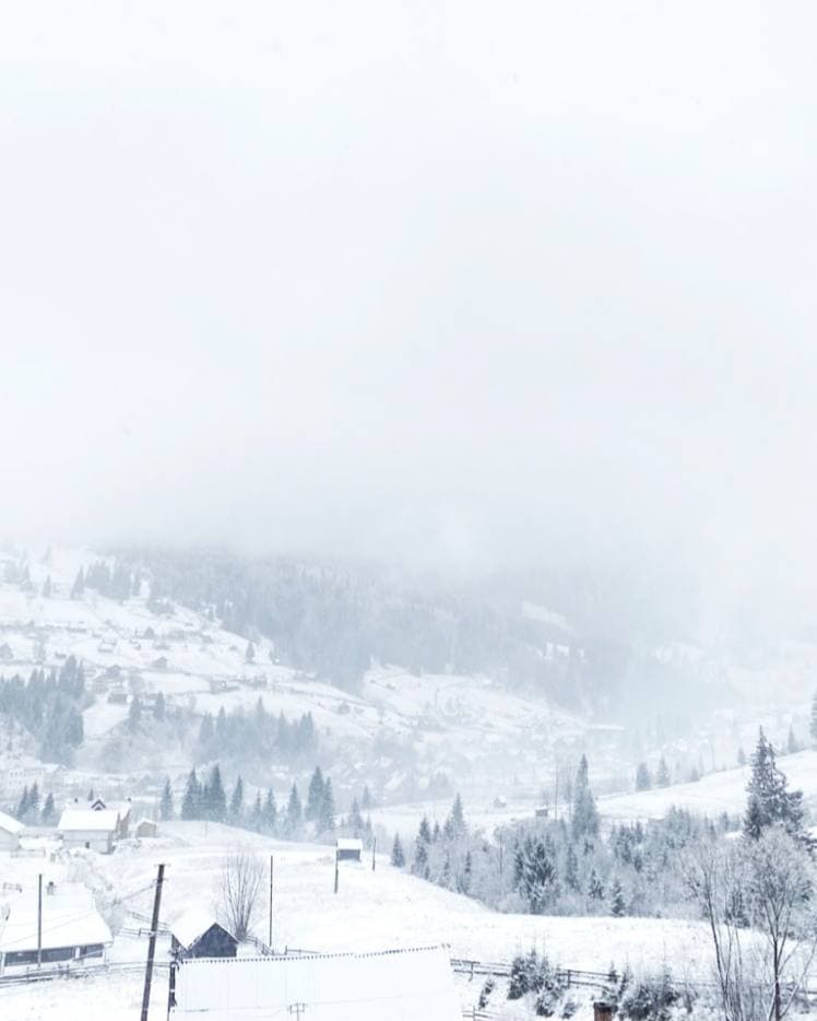 Захід України на Різдво засипало снігом: казкові фото і відео