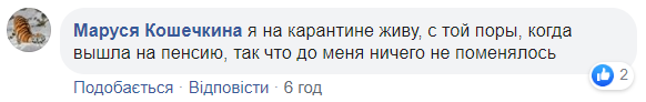 Карантин у Київській області можуть продовжити до осені: мережа обурюється