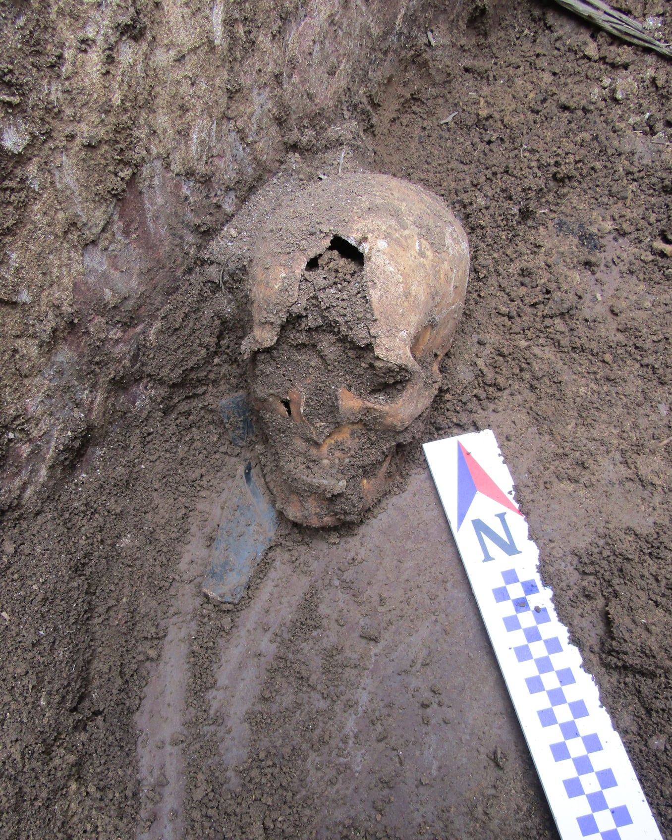 Под Тернополем исследовали древний саркофаг, который озадачил ученых: что выяснилось