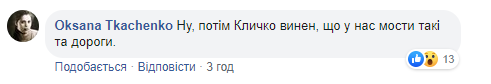 Новий міст у Києві знову &quot;атакували&quot;: входить в моду у дятлів (фото)