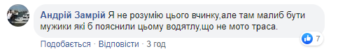Новий міст у Києві знову &quot;атакували&quot;: входить в моду у дятлів (фото)