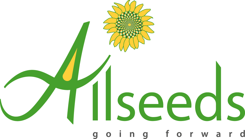 Группа Allseeds: Капитализация доверия и эффективности