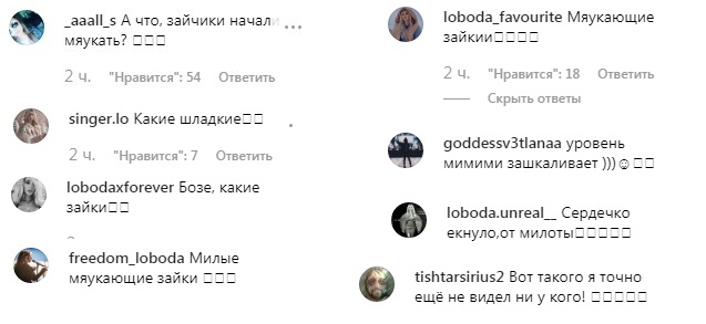"Серденько тьохнуло від милоти": Лобода з донькою потішили "перевтіленням" в кішечок