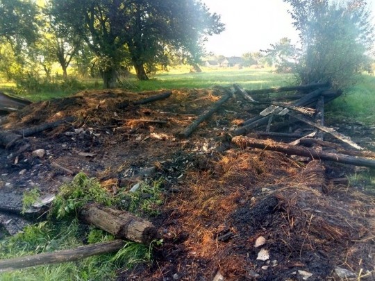 Місцеві жителі в паніці: під Житомиром відбуваються загадкові пожежі