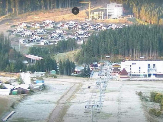 Зима прийшла: у мережі з'явилося фото першого снігу в Буковелі