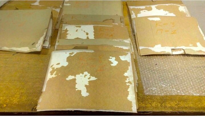 В аэропорту &quot;Борисполь&quot; обнаружены 5 кг кокаина