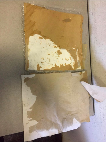 В аэропорту &quot;Борисполь&quot; обнаружены 5 кг кокаина