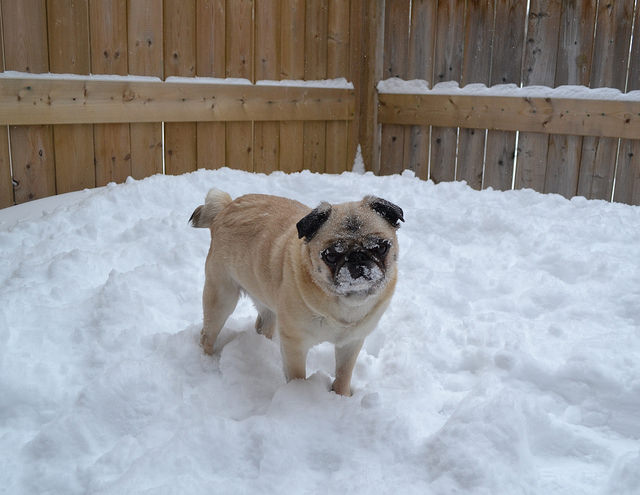 Як краще прокидатися взимку: 5 порад для українців