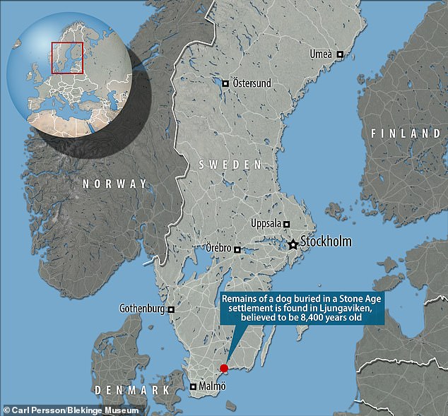 Археологи розкопали стародавнє поховання віком понад 8 400 років