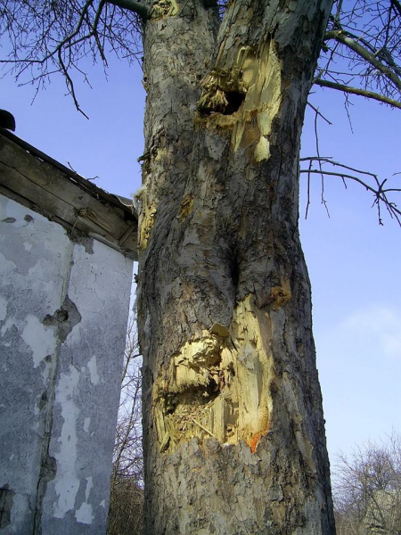 У Луганській області снаряд бойовиків потрапив у житловий будинок