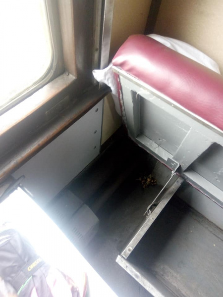 "Вдруг пассажир будет голодным?": в украинском поезде "выросли" грибы