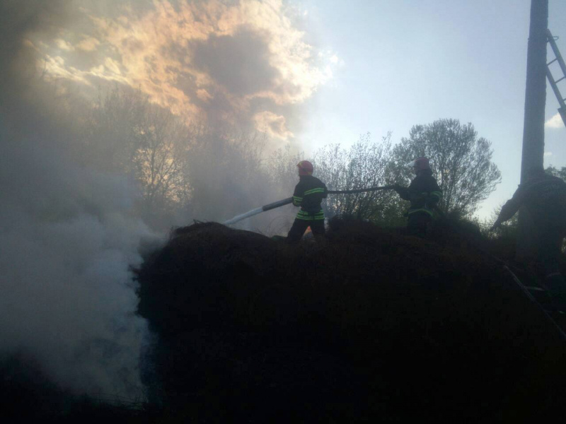 В Черкасской области ликвидировали масштабный пожар, - ГСЧС