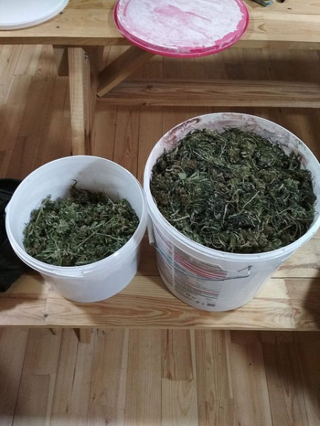 СБУ задержала организаторов поставок кокаина