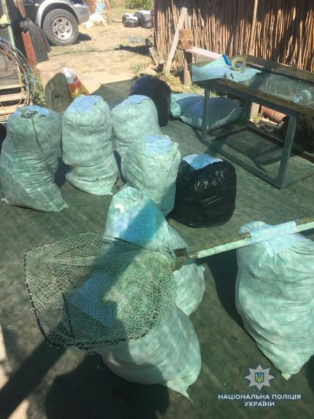 В заповеднике в Николаевской области браконьеры вылавливали креветки в промышленных масштабах