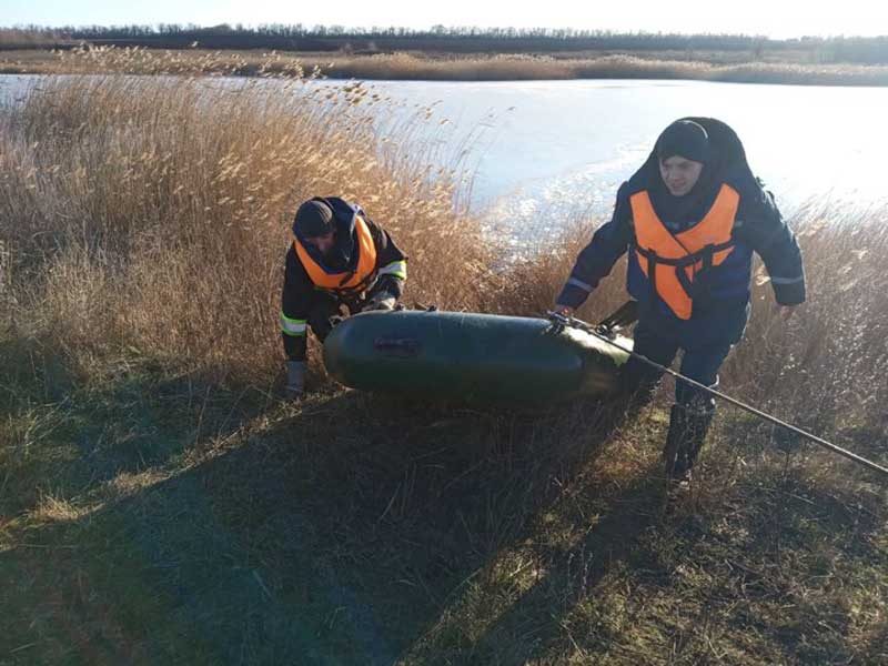 Ледяная ловушка: под Запорожьем к пруду примерзли лебеди (фото)
