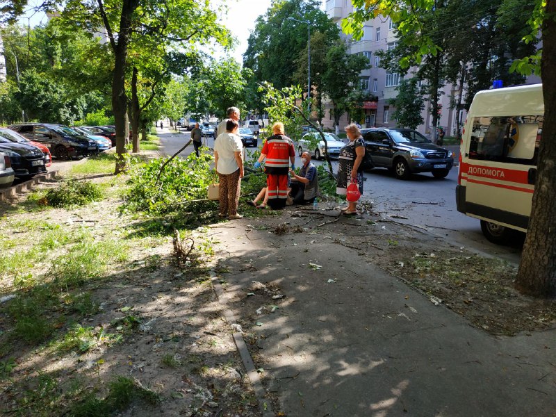 В Киеве на девушку упало дерево: фото инцидента