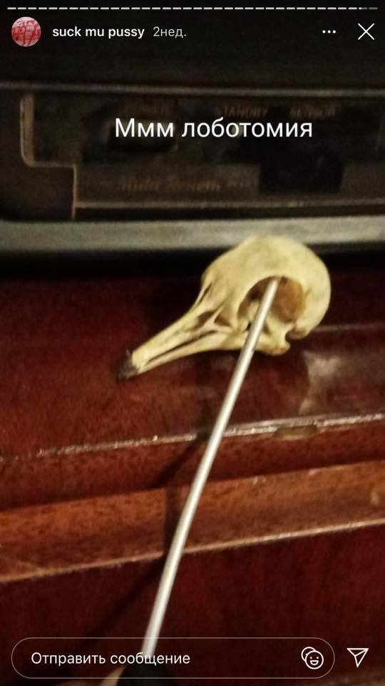 У Дніпрі школярка захоплюється фото з відрубаними головами тварин