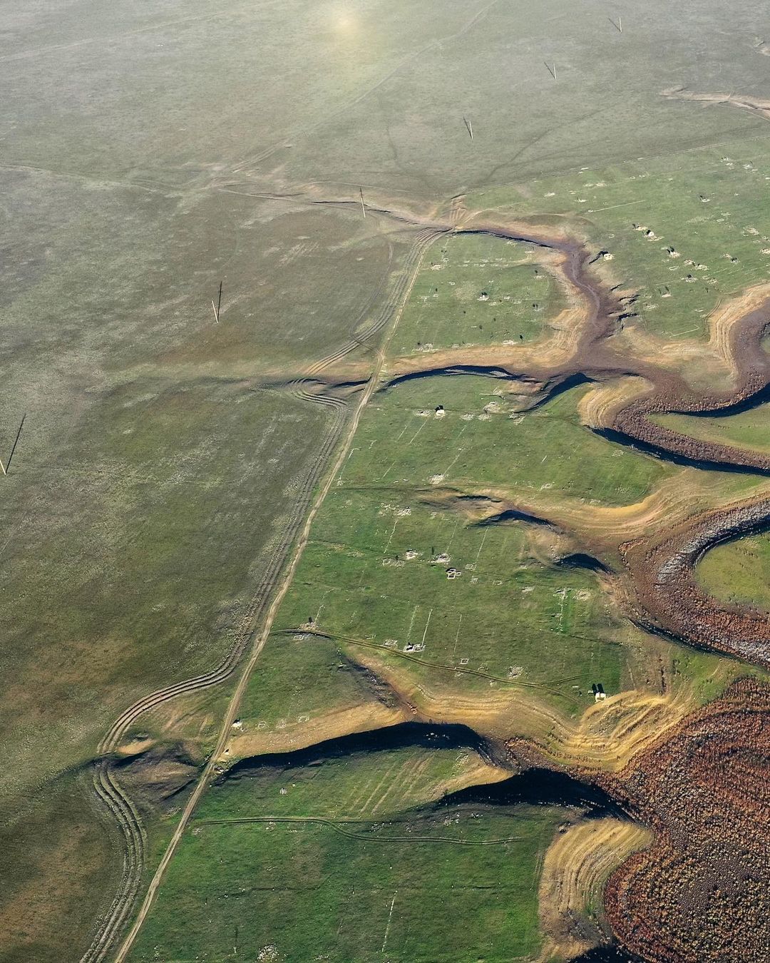 В Крыму высохло большое пресное озеро: на дне растут деревья