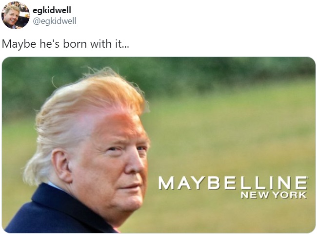 Дональд Трамп залишає Білий дім: найсмішніші фото і відео 45-го президента США