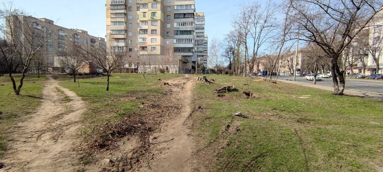 У Києві знищили дерева у сквері, який створили на честь українського розвідника (фото)